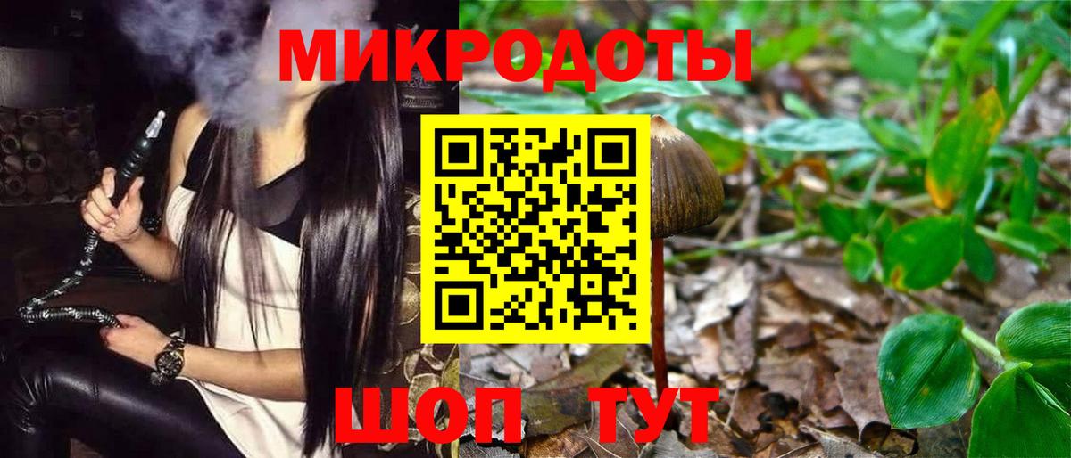 Майский  Псилоцибиновые грибы Cubensis  Вход с VPN  Галлюциногенные грибы Psilocybine cubensis 